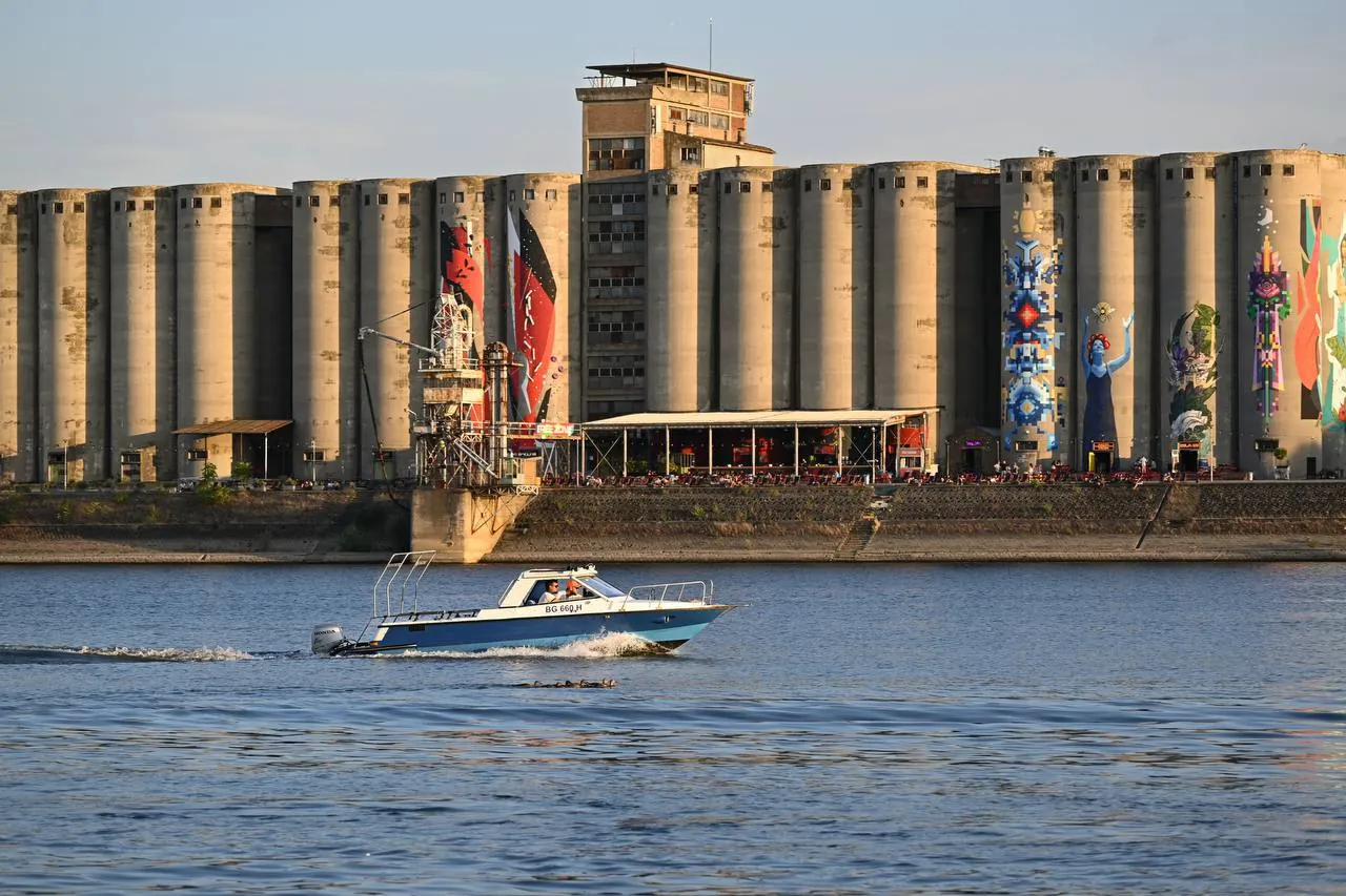Моторная лодка 7 мест Honda 40 л.с., Белград 4