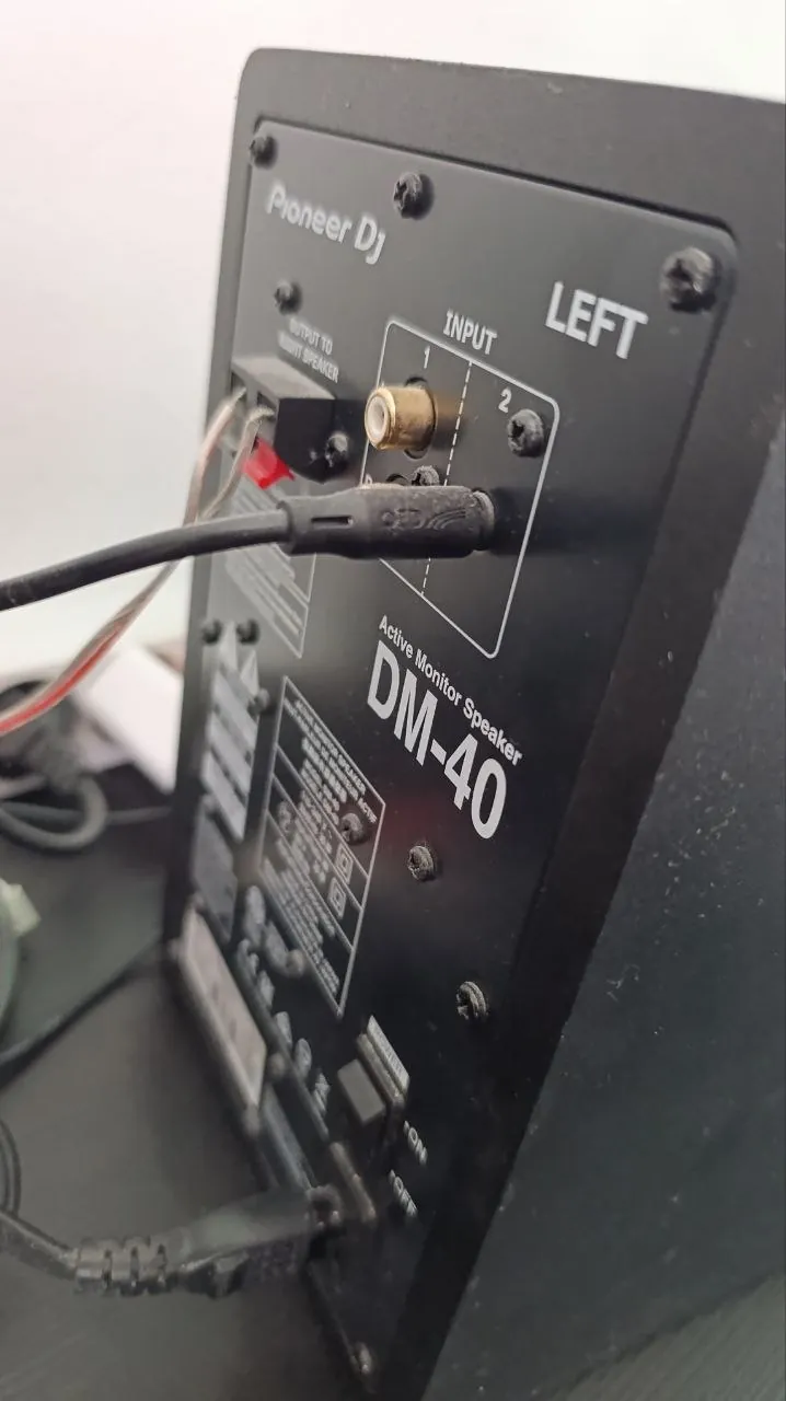 Студийные мониторы Pioneer DJ DM-40 2