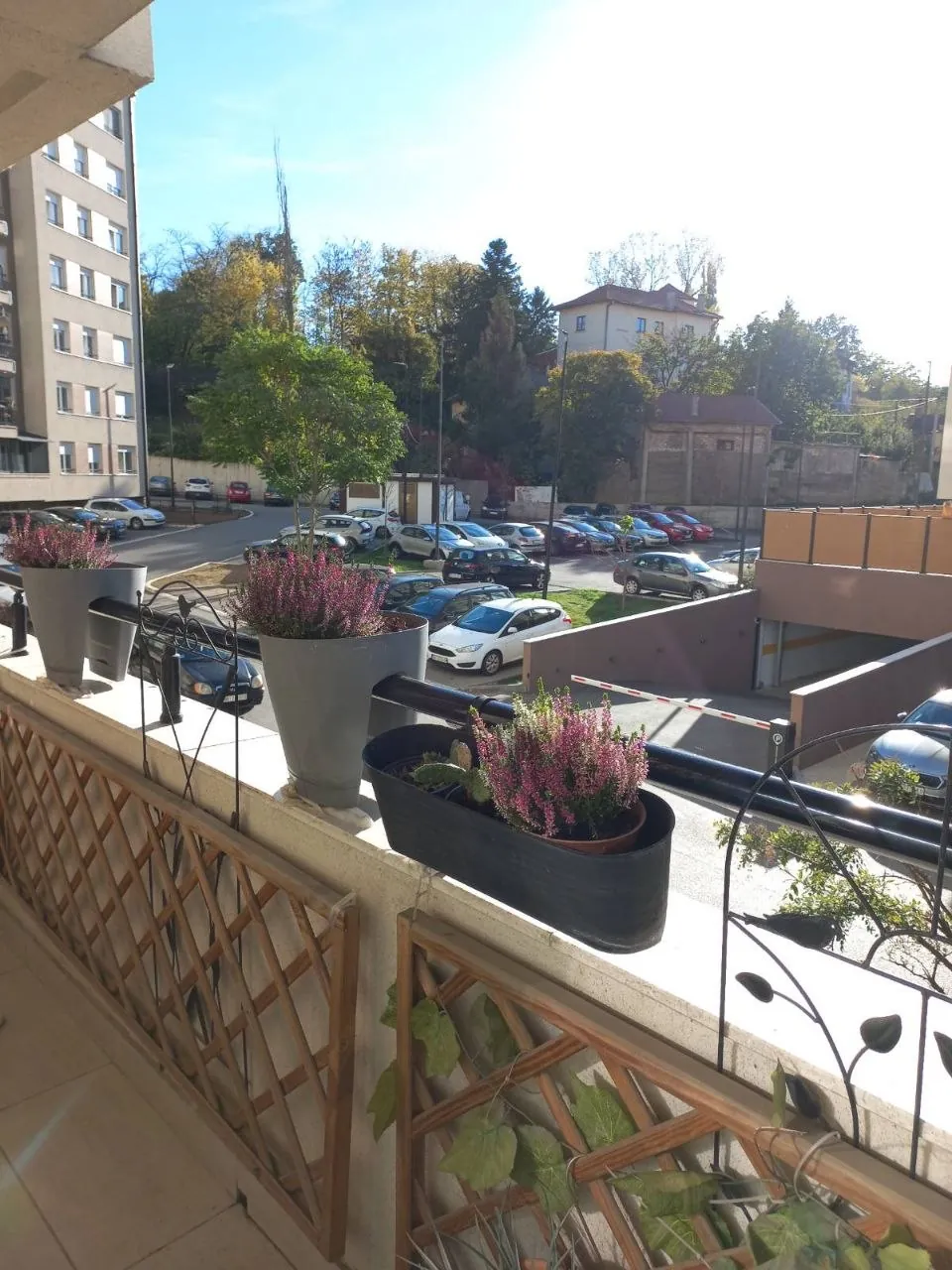 Квартира 39.5 м² с отдельной спальней Баньица 4