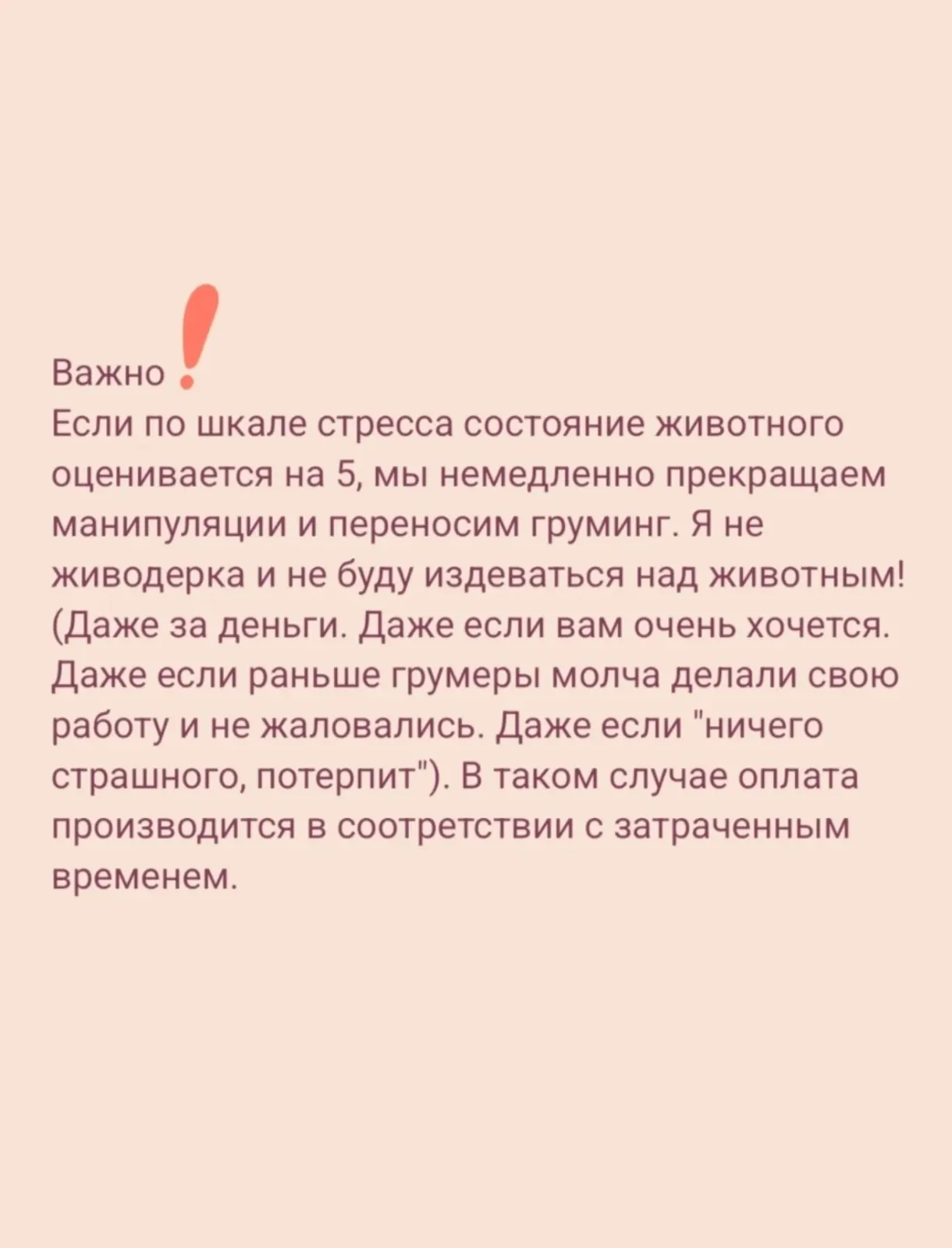 Бережный груминг на дом 4