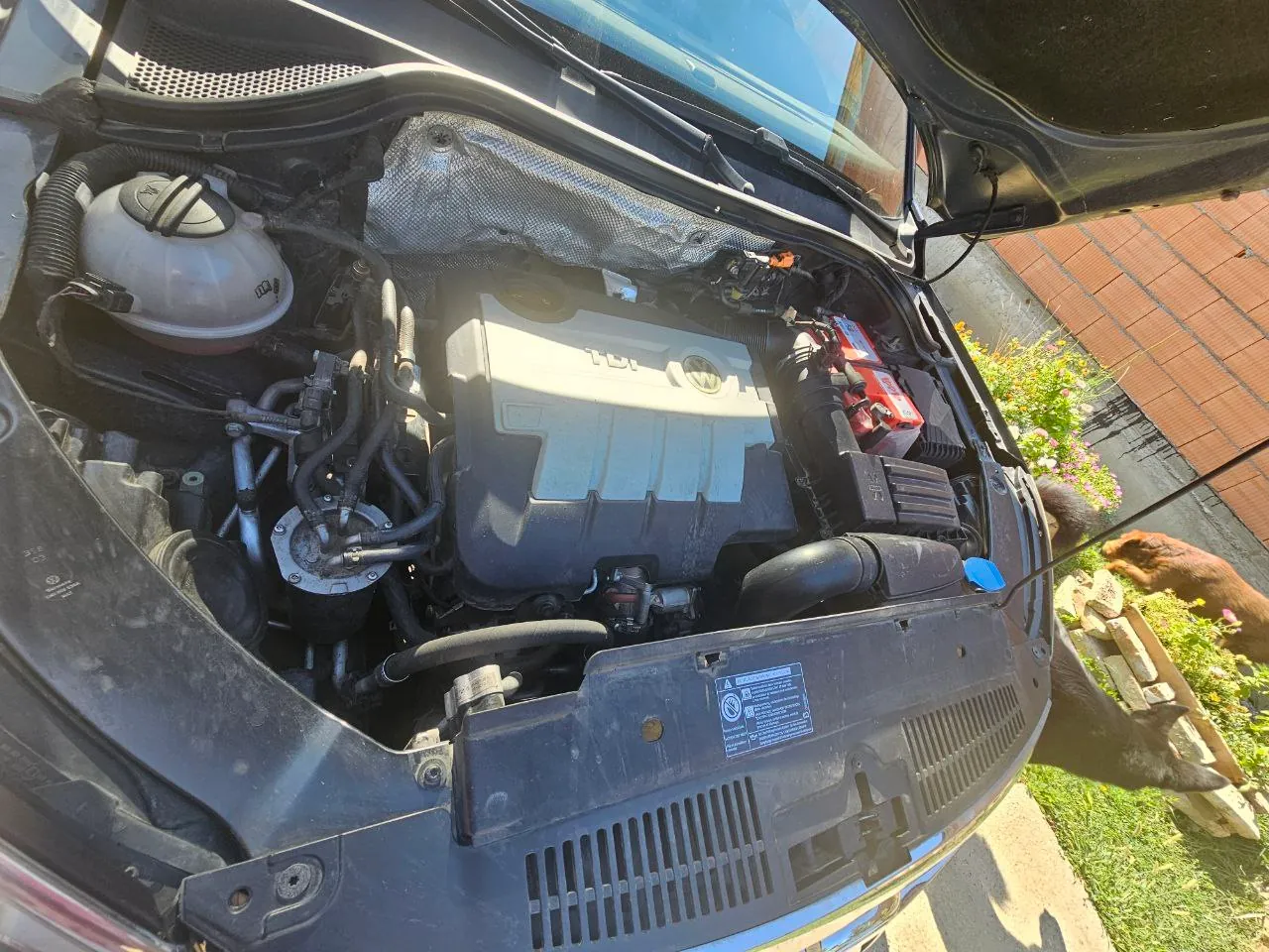 Volkswagen Tiguan 2010, дизель, автомат 9