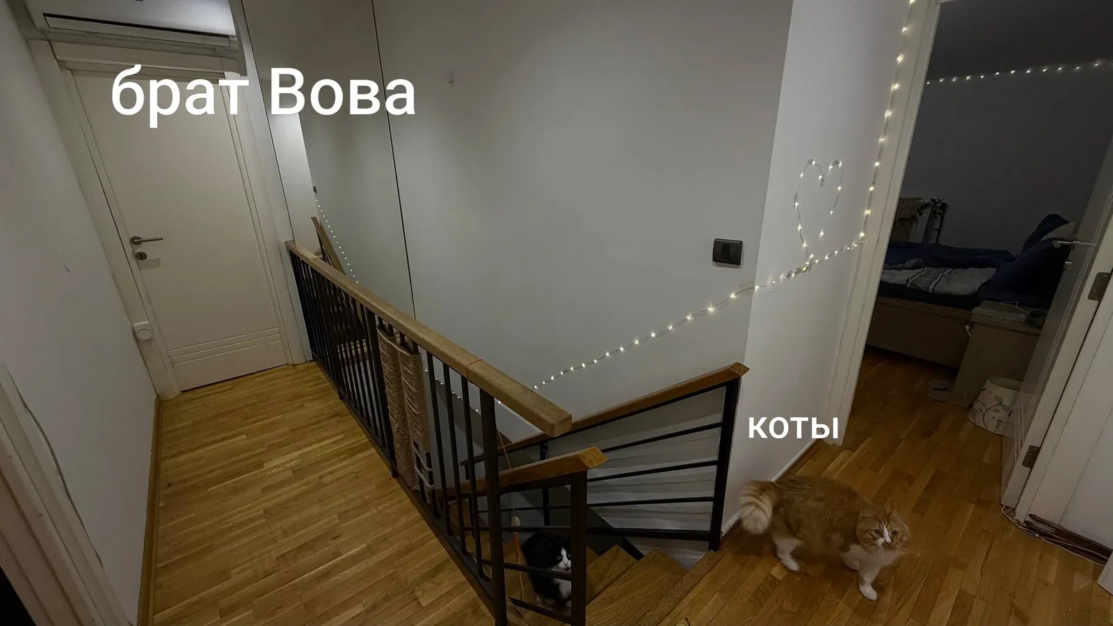 Комната в четырёхкомнатной квартире на Вуковом споменике 4