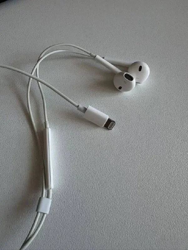 Наушники Apple EarPods Lightning новые Нови-Сад 1