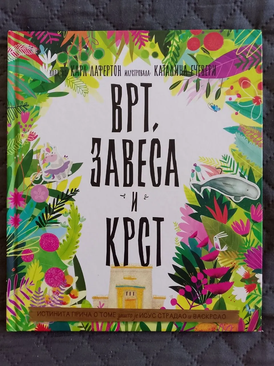 Миниатюра 1