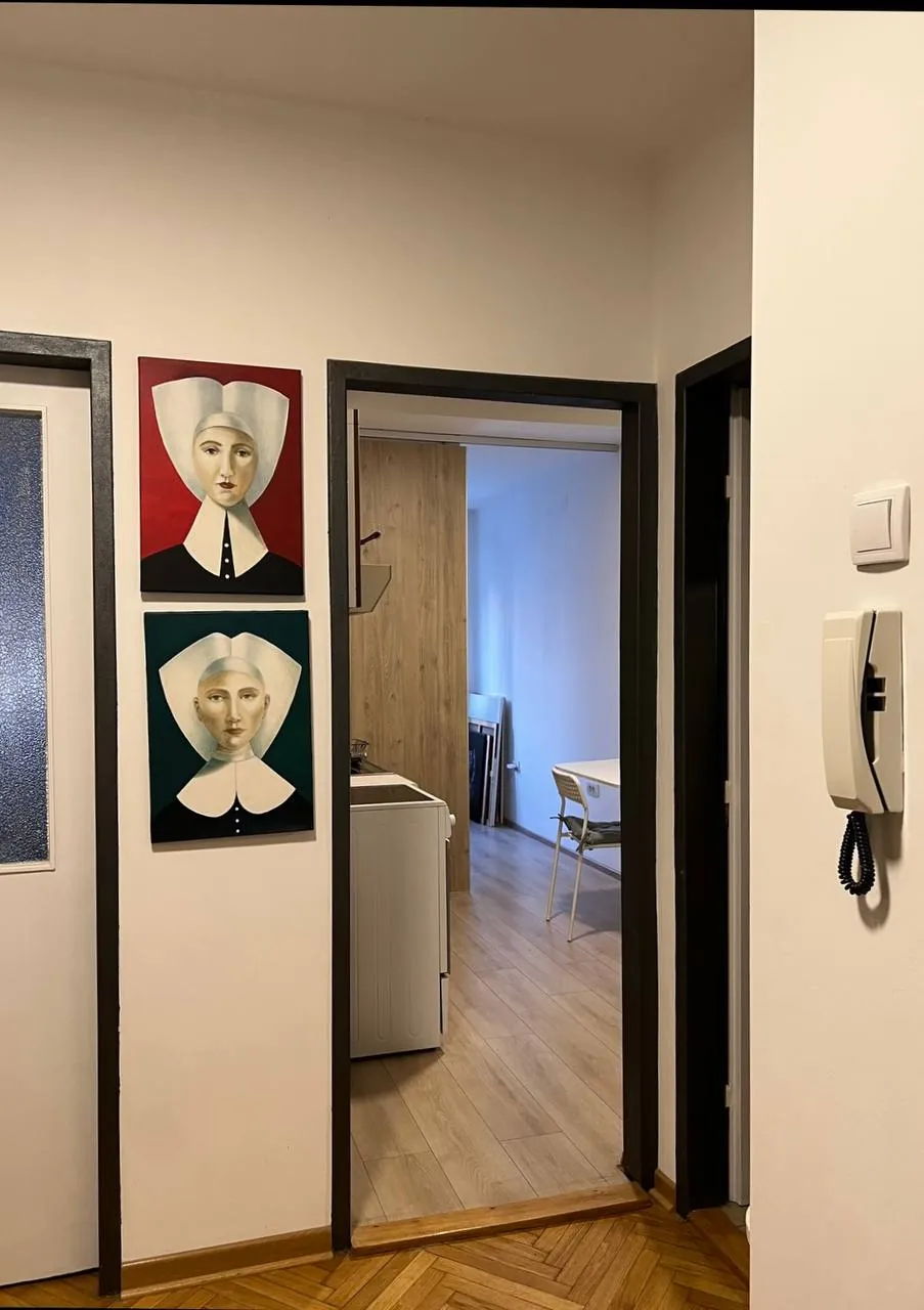 Квартира 1.5к 45м2 аренда Врачар 3