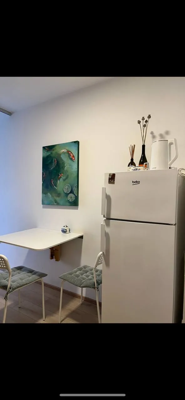 Квартира 1.5к 45м2 аренда Врачар 4