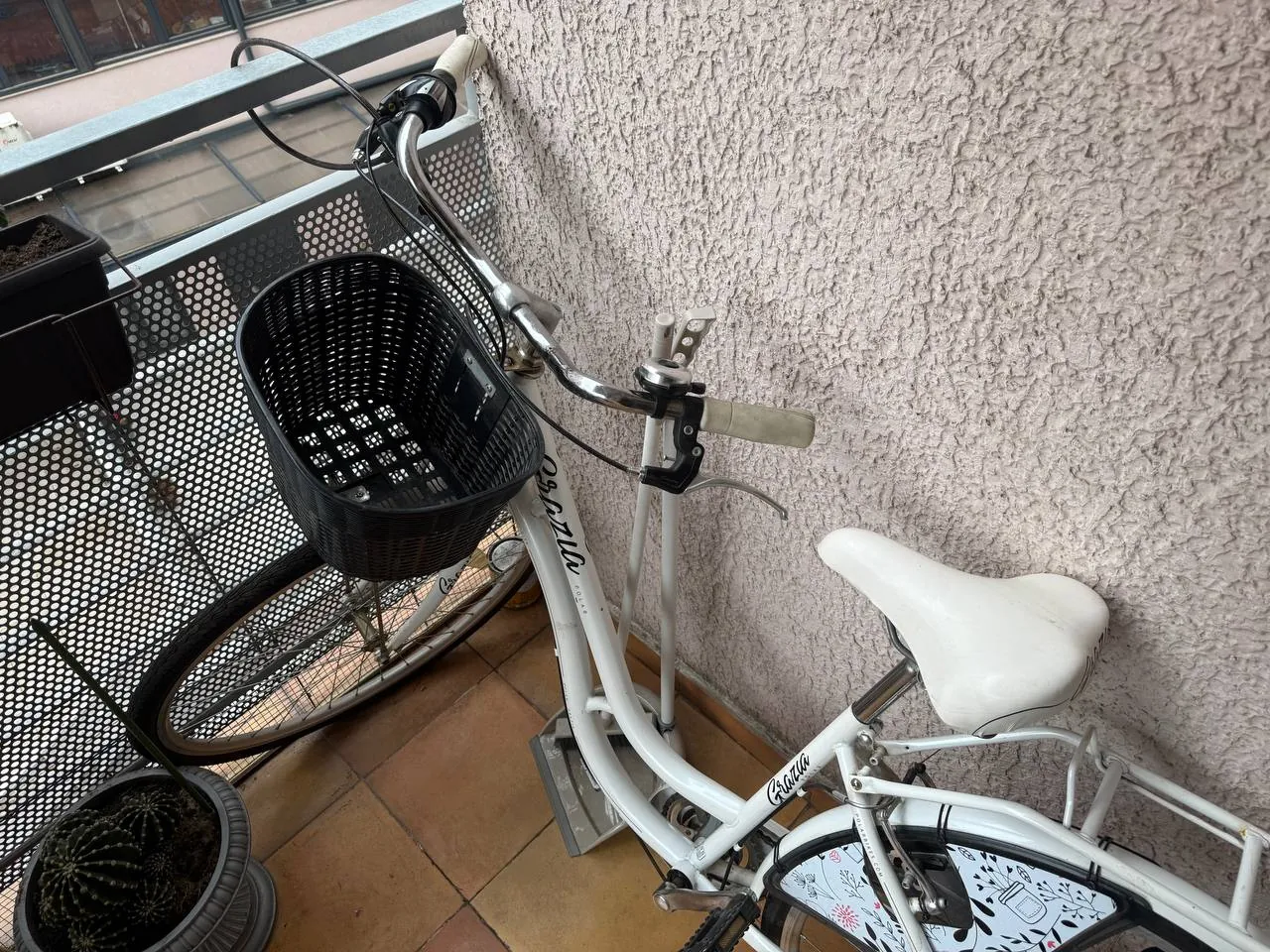 Миниатюра 3