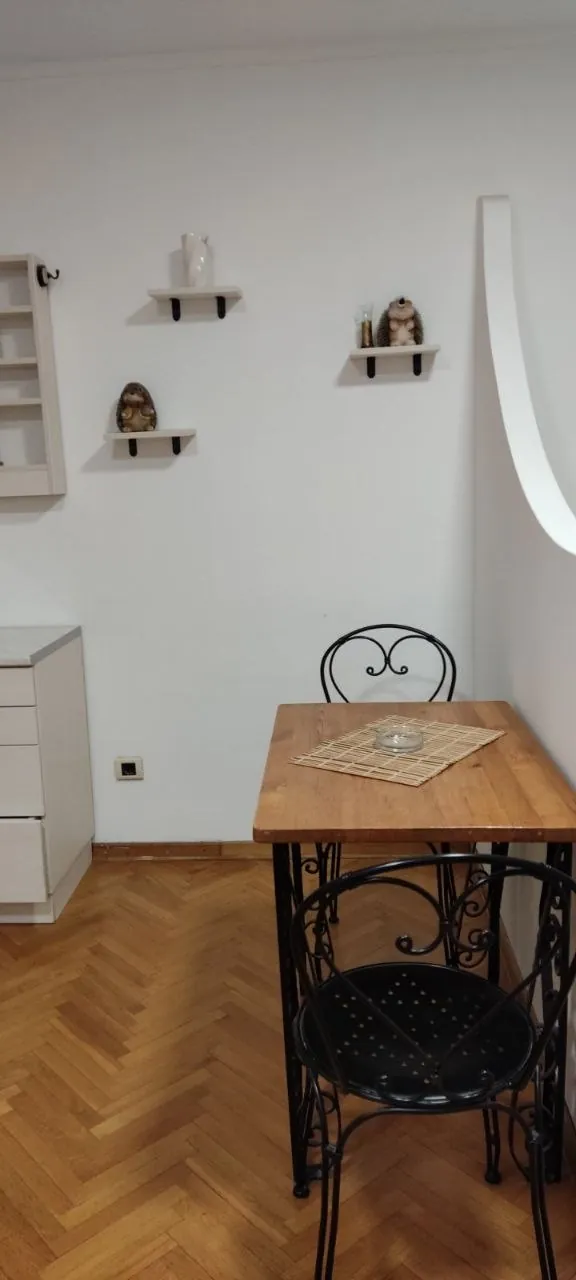 Студия 30 кв.м. Врачар 400 EUR 4