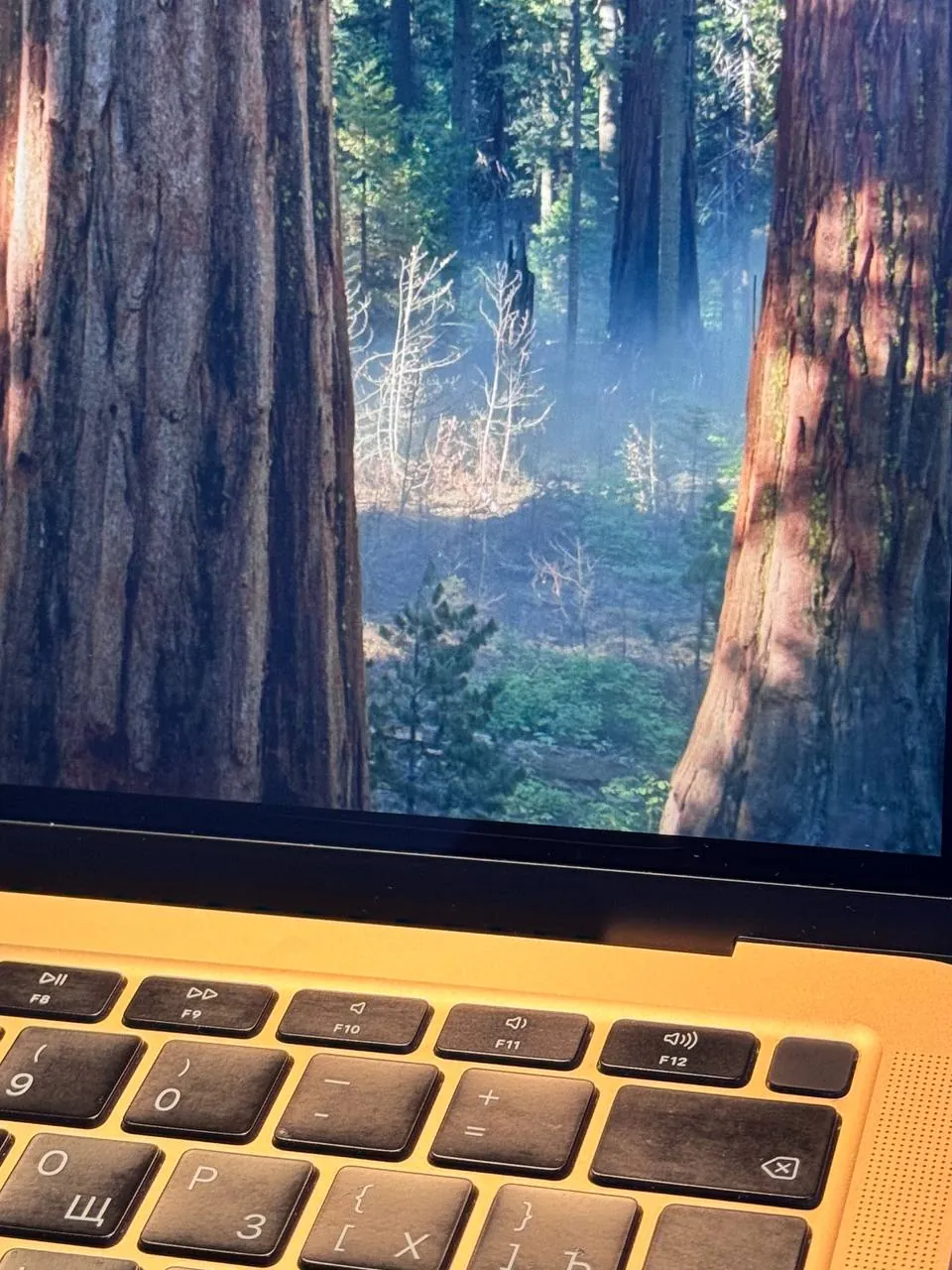 MacBook Air 13 2020 Retina i3 8GB розовое золото 4