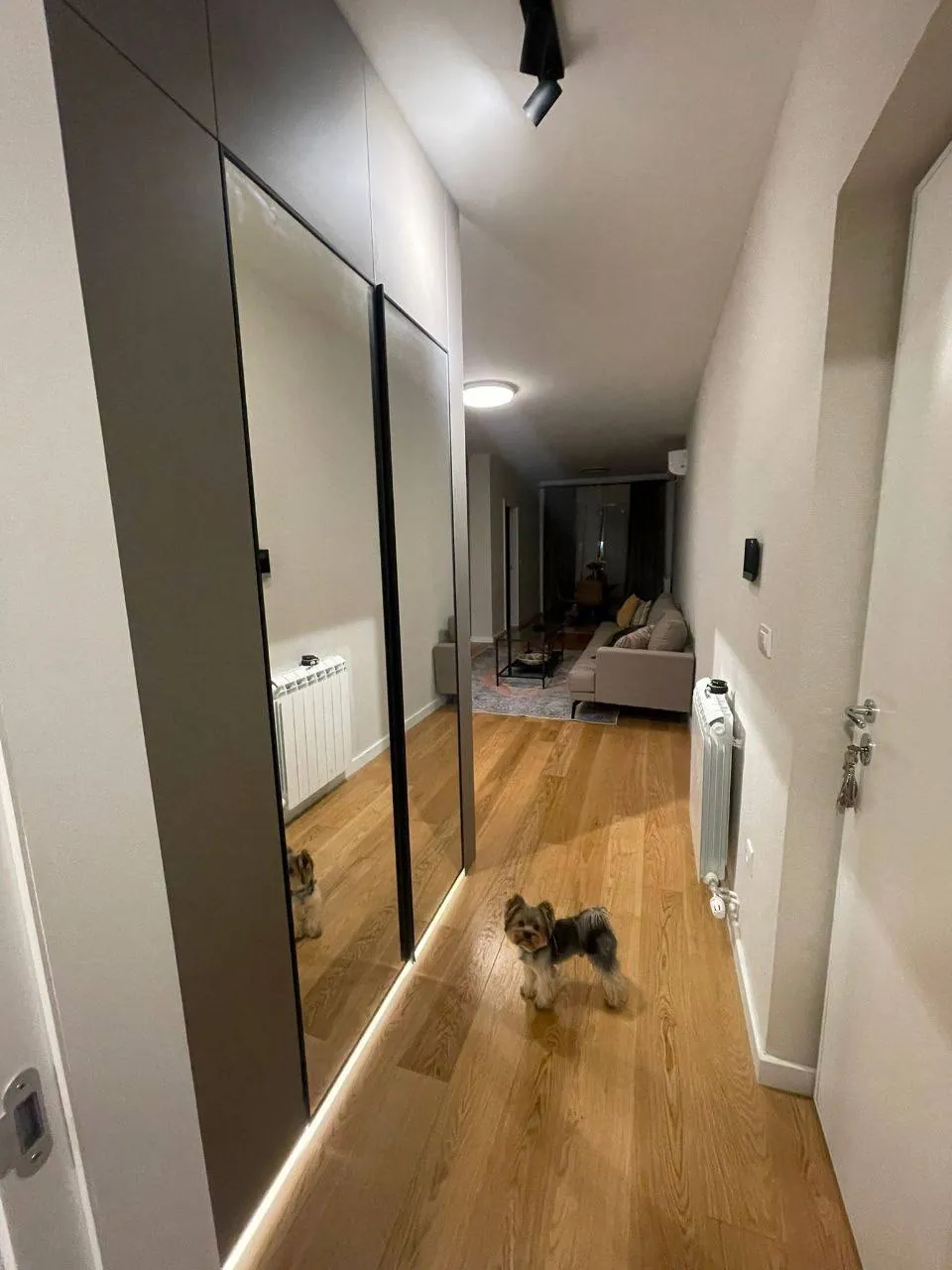 Аренда 2к 50м² Врачар Господара Вучича 1000€ 3