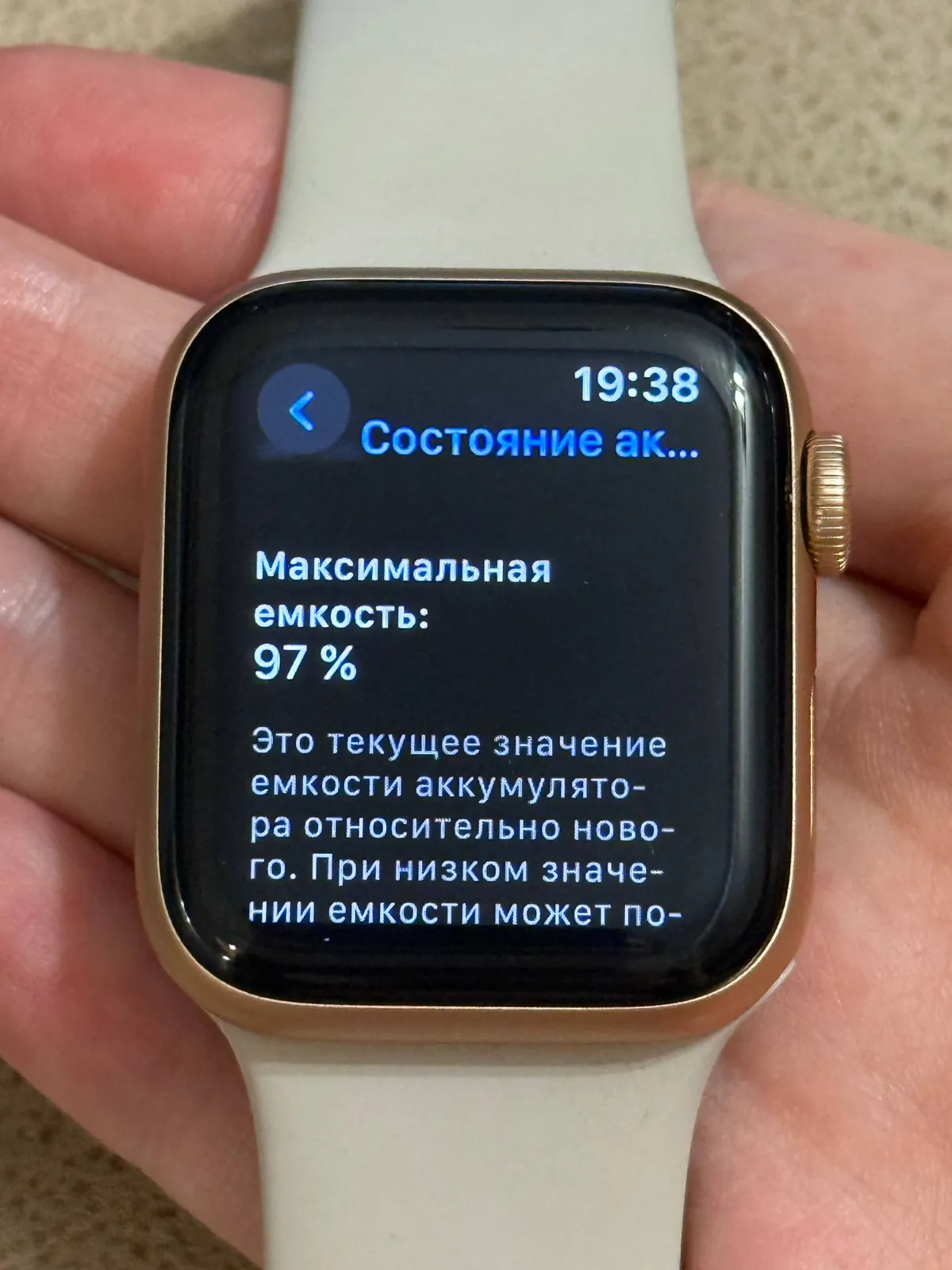 Миниатюра 2