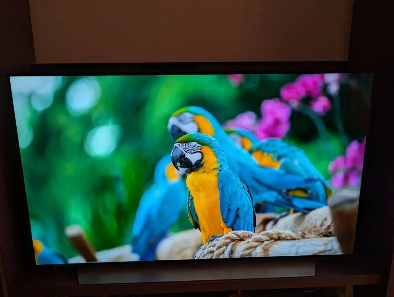 Телевизор LG OLED 48 4K 120Hz 3