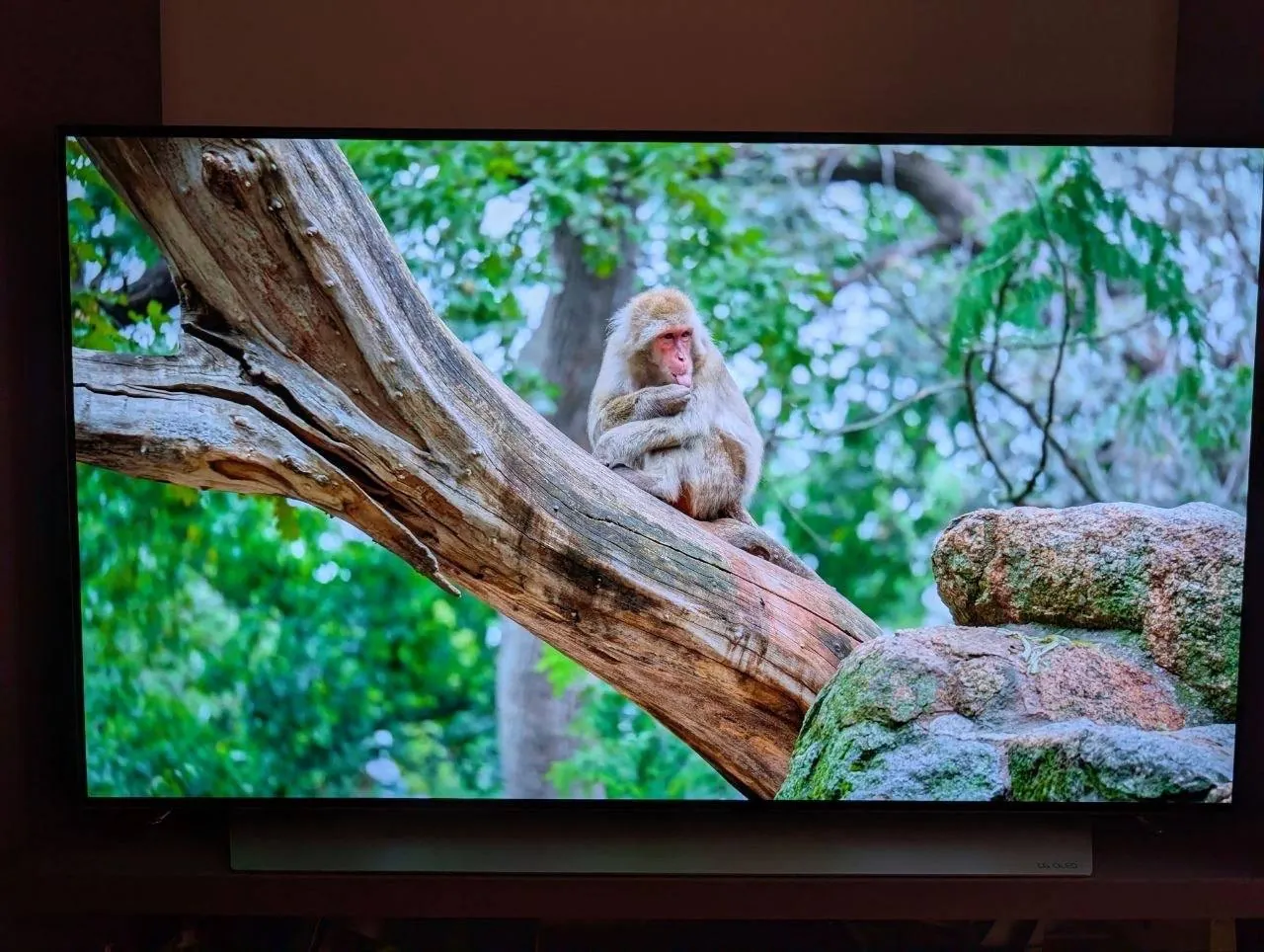 Телевизор LG OLED 48 4K 120Hz 2