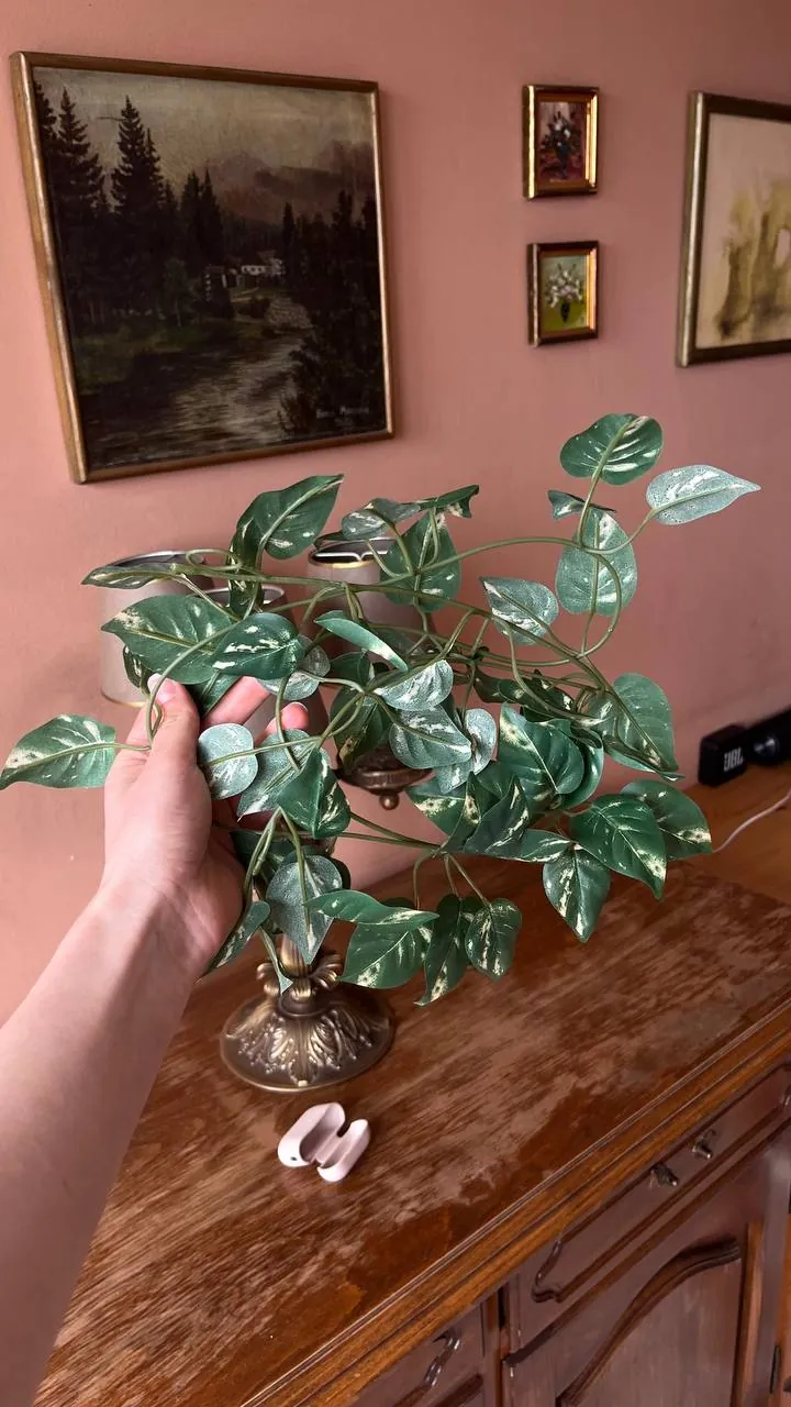 Миниатюра 4