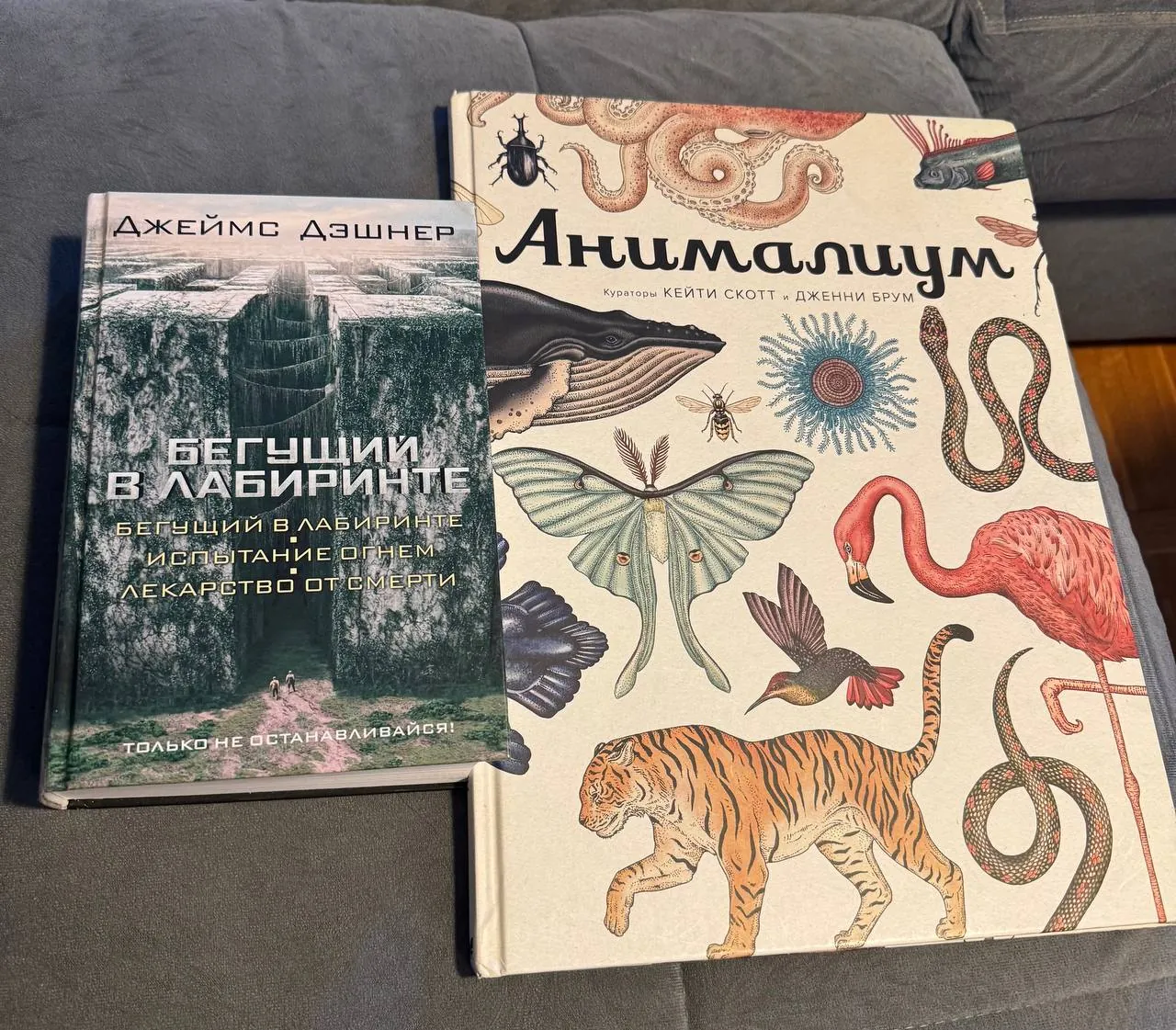 Книги: Анималиум и Бегущий в лабиринте 1