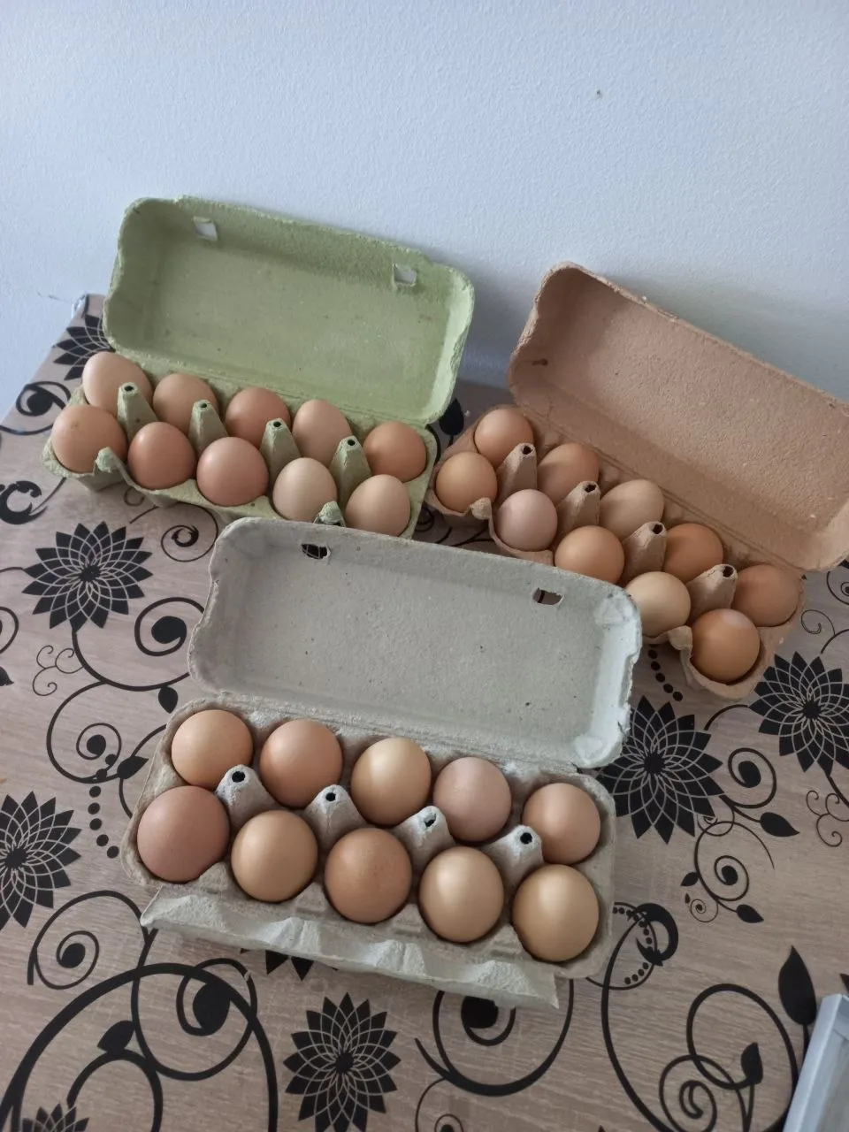 Свежие домашние яйца 1