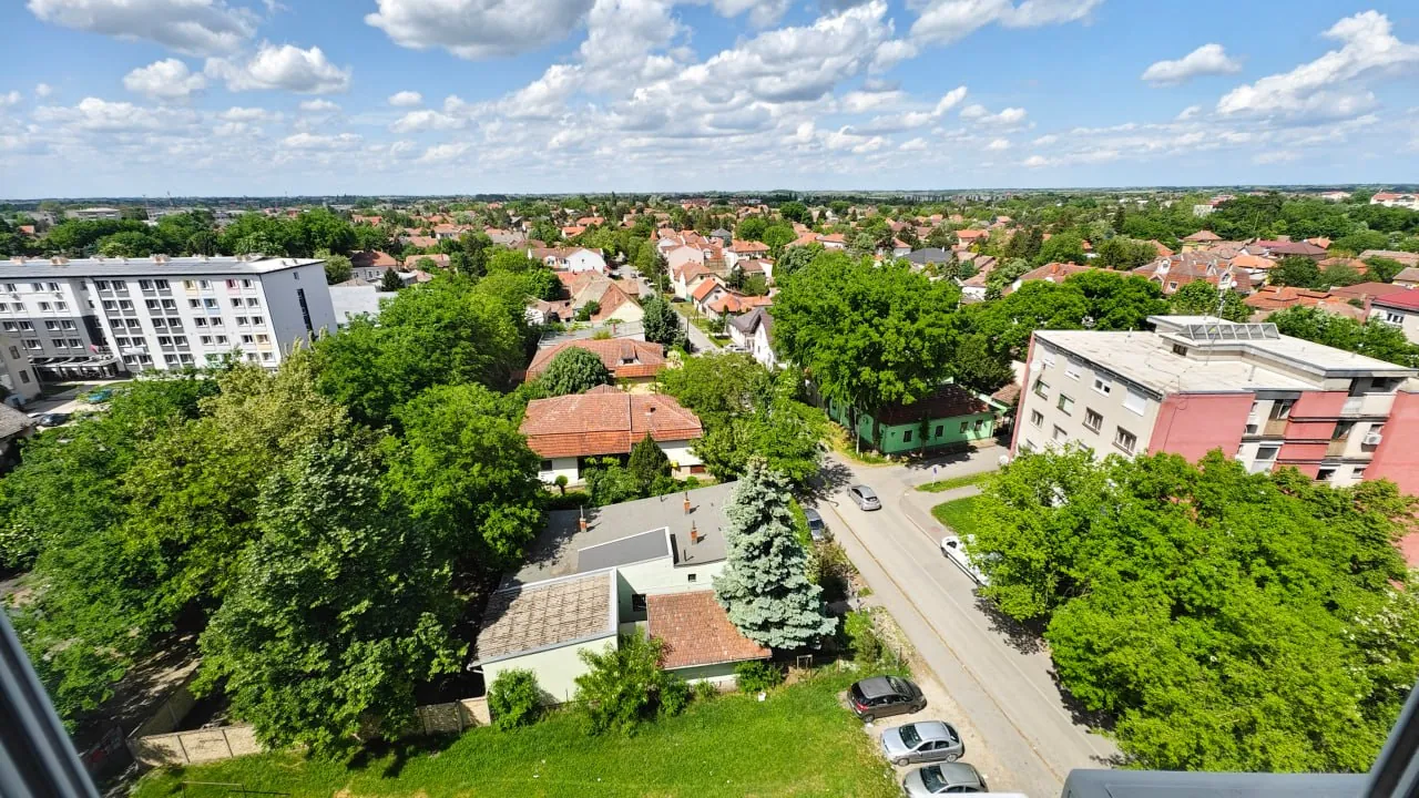 Миниатюра 4