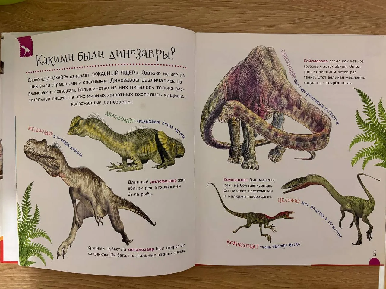 Миниатюра 4