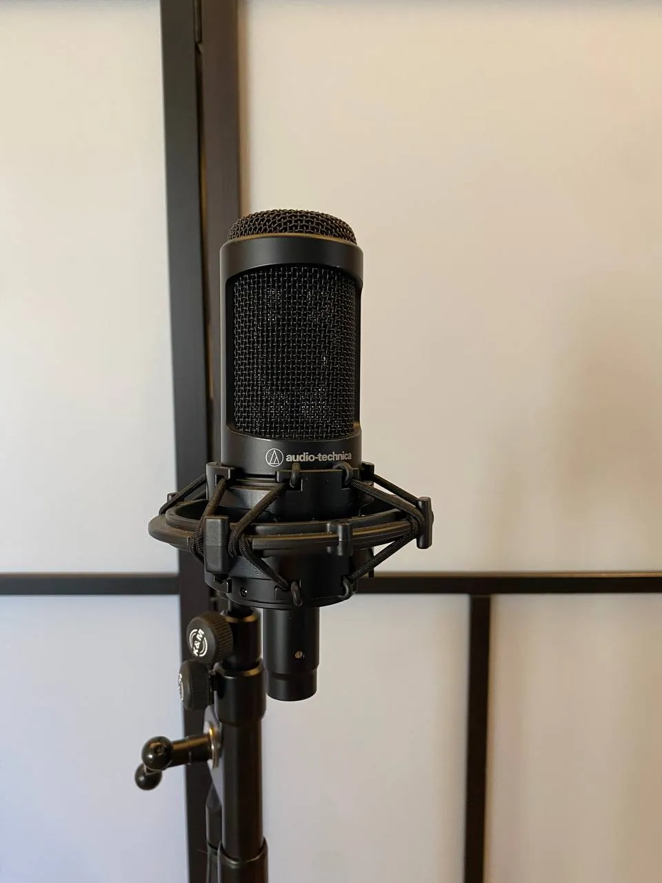 Микрофон Audio-Technica AT2035 3