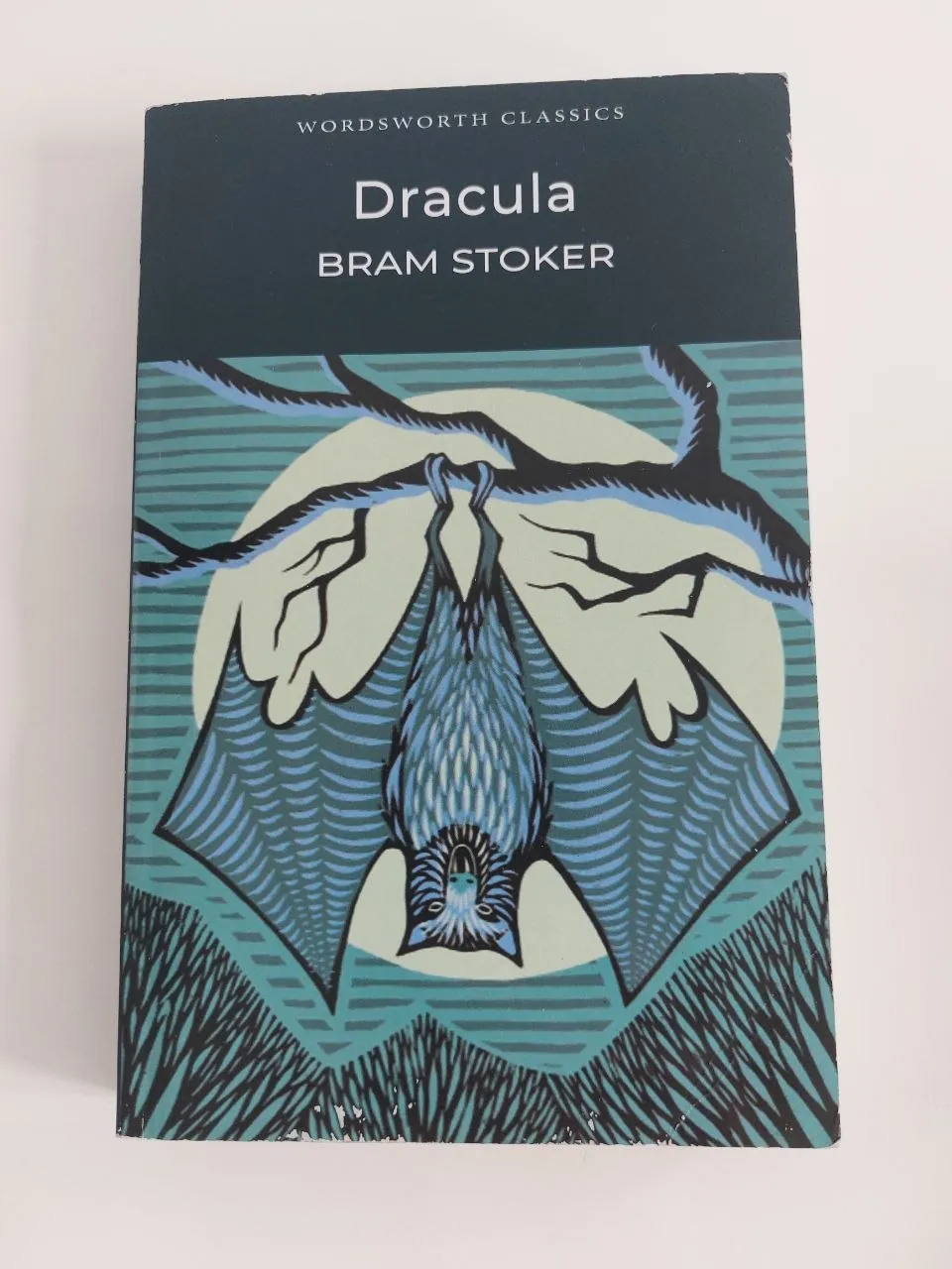 Книга Дракула на английском языке 1