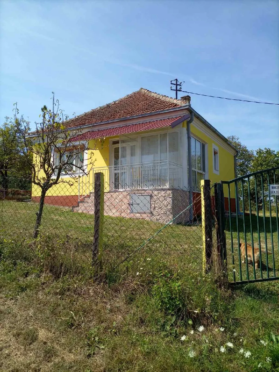 Миниатюра 1
