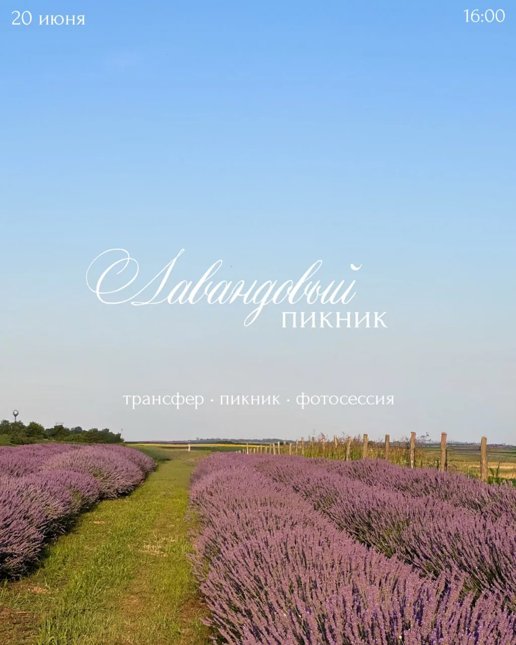 Лавандовый пикник с фотосессией 20 июня 1
