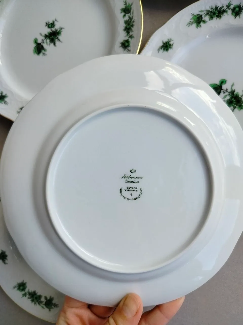 Фарфоровый сервиз Seltmann Weiden Wien Green 3