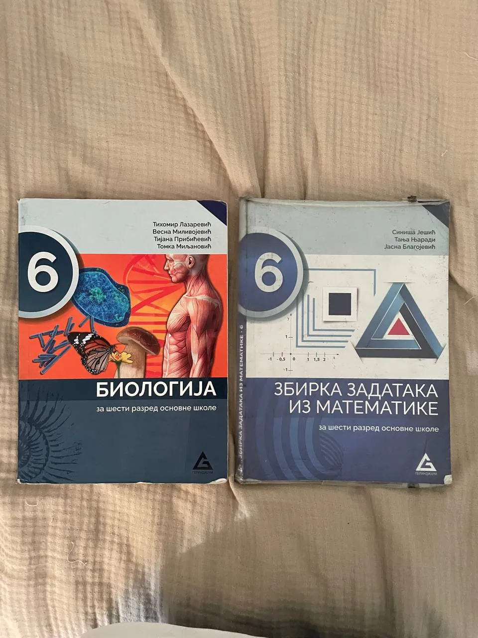 Школьные учебники 4-6 классы 5