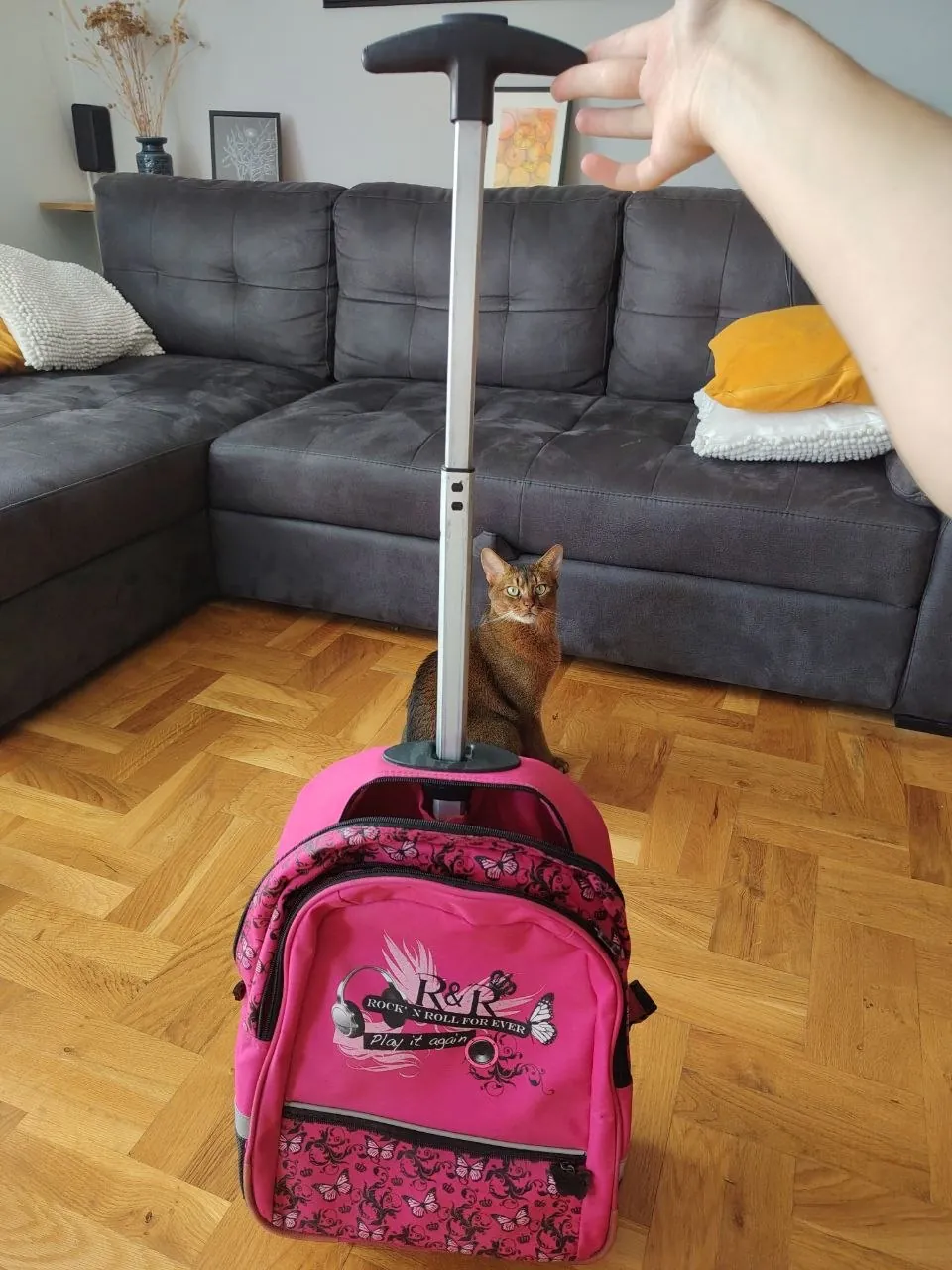 Рюкзак на колёсах 2