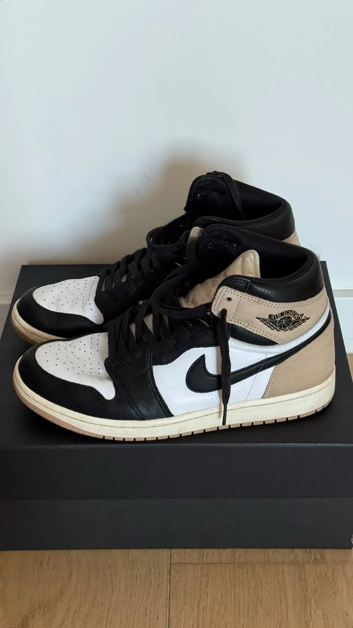 Кроссовки Nike Air Jordan 1 High 5