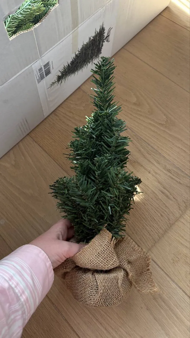 Миниатюра 5