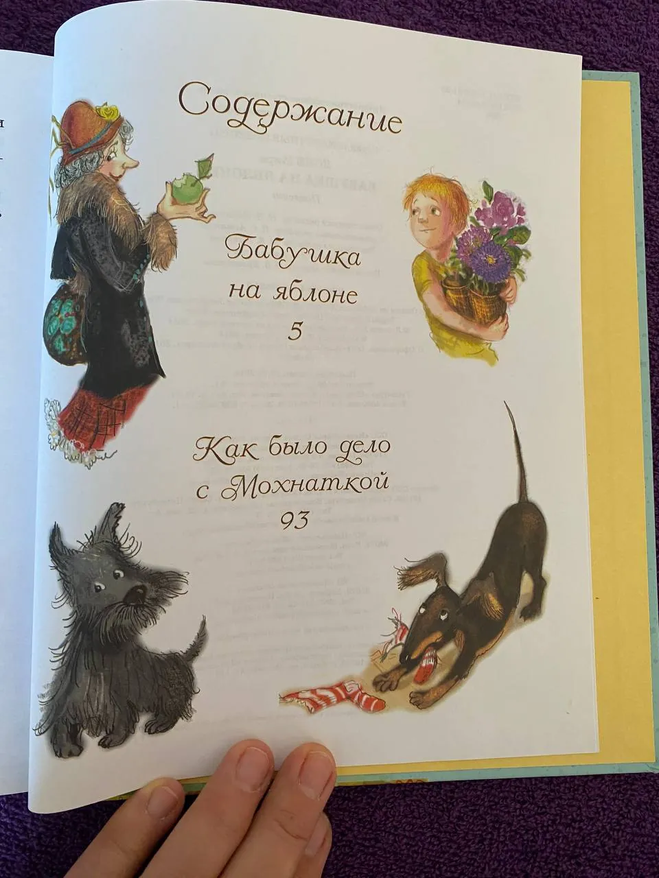 Миниатюра 4